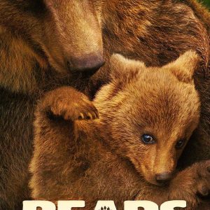 Bears 2014