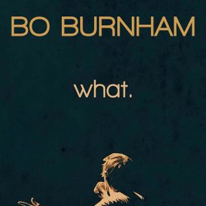 Bo Burnham What. 2013