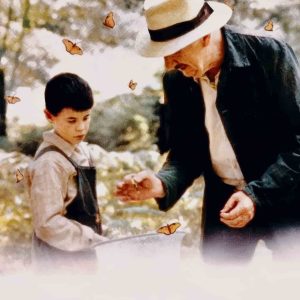 Butterfly 1999