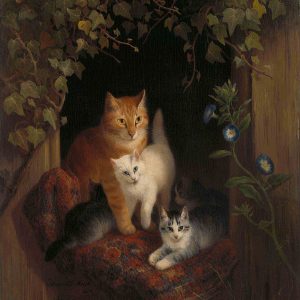 Gatos entre Enredaderas