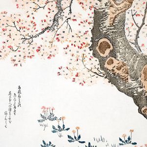 Árbol en Flor