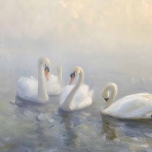 Cisnes entre la Bruma
