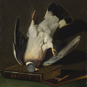 Paloma sobre Libros
