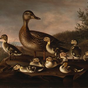 Pata con sus Patitos