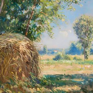 Campo con Pajar