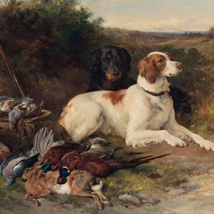 Perros de Caza en Reposo