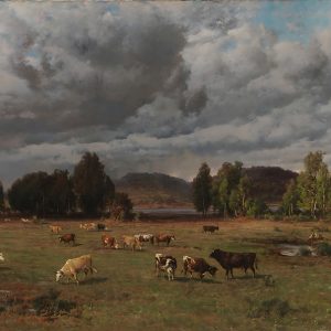 Pradera bajo Nubes de Tormenta