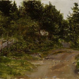 Curva del Camino Rural