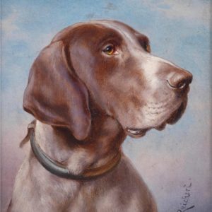 Mirada del Perro Castaño