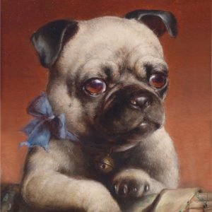 Pug con Lazo Azul
