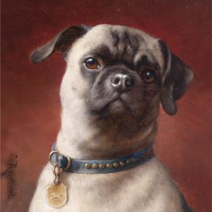 Pug con Medalla Dorada