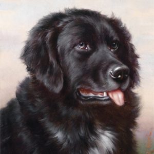 Perro Negro de Mirada Noble
