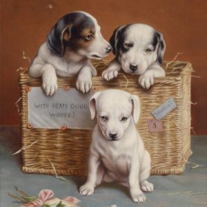Cachorros y Cesta de Regalo