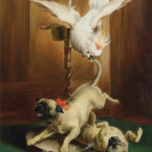 Cacatúa y Pugs Traviesos