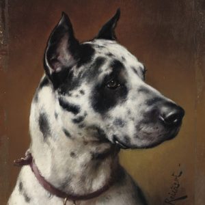 Retrato del Perro Moteado
