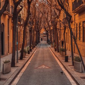 Calle arbolada en tonos de cobre